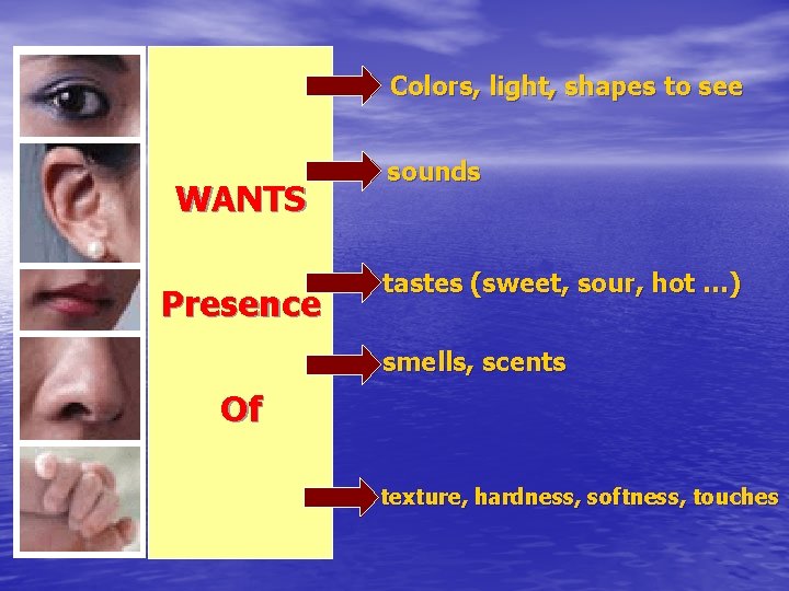 Colors, light, shapes to see WANTS Presence sounds tastes (sweet, sour, hot …) smells,