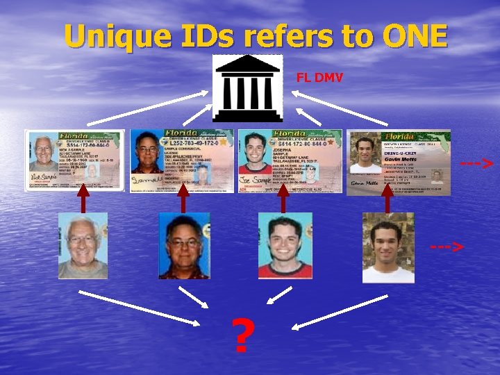 Unique IDs refers to ONE FL DMV ---> ? 