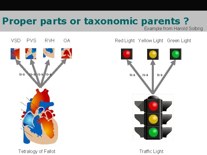 Proper parts or taxonomic parents ? Example from Harold Solbrig VSD is-a PVS RVH