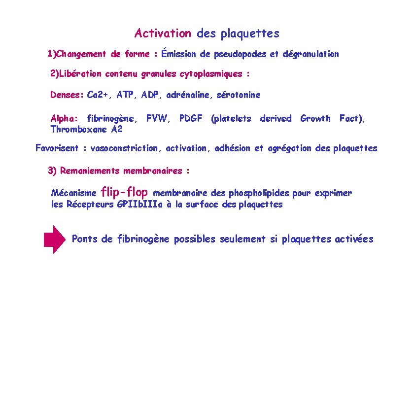 Activation des plaquettes 1)Changement de forme : Émission de pseudopodes et dégranulation 2)Libération contenu