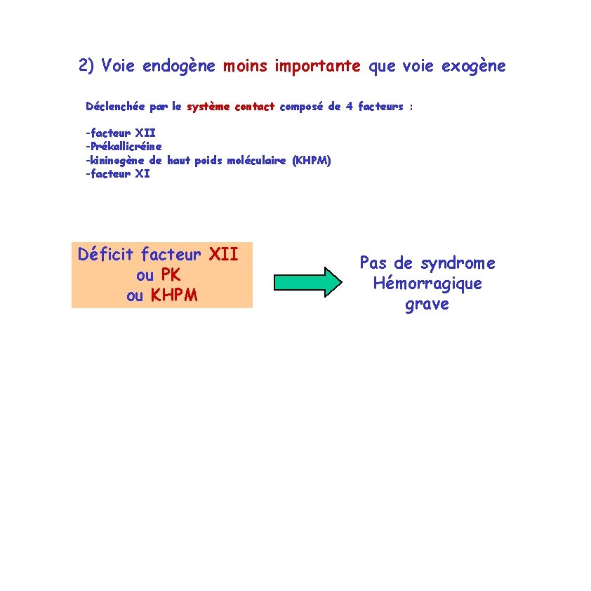 2) Voie endogène moins importante que voie exogène Déclenchée par le système contact composé