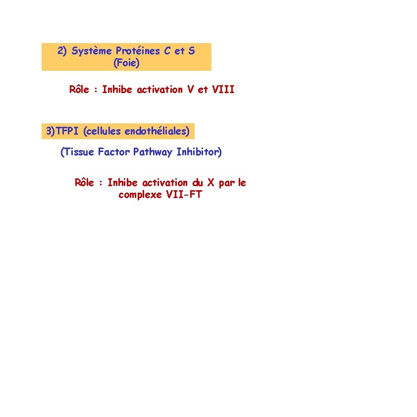 2) Système Protéines C et S (Foie) Rôle : Inhibe activation V et VIII