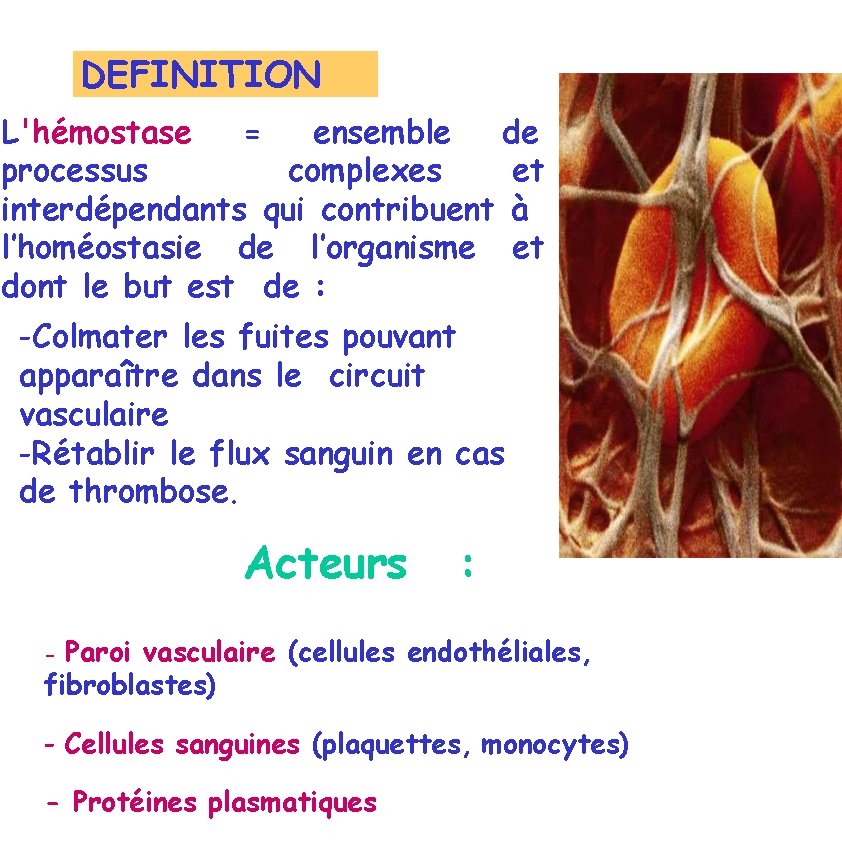 DEFINITION L'hémostase = ensemble de processus complexes et interdépendants qui contribuent à l’homéostasie de