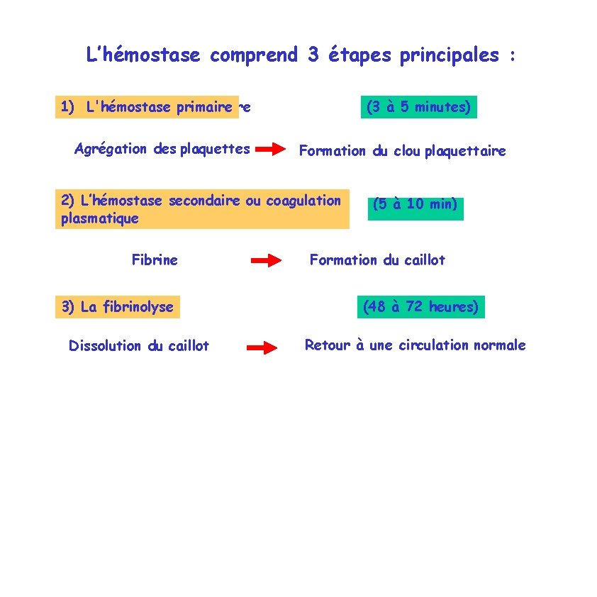 L’hémostase comprend 3 étapes principales : L'hémostase primaire 1) 1)L'hémostase primaire Agrégation des plaquettes