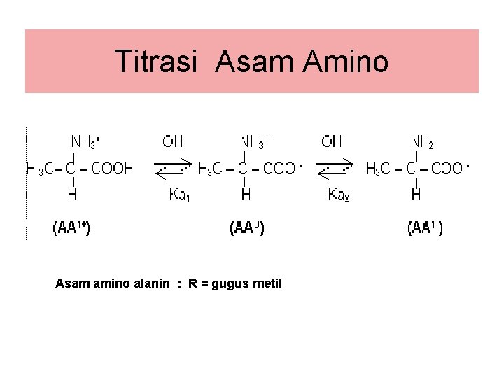 Titrasi Asam Amino Asam amino alanin : R = gugus metil 