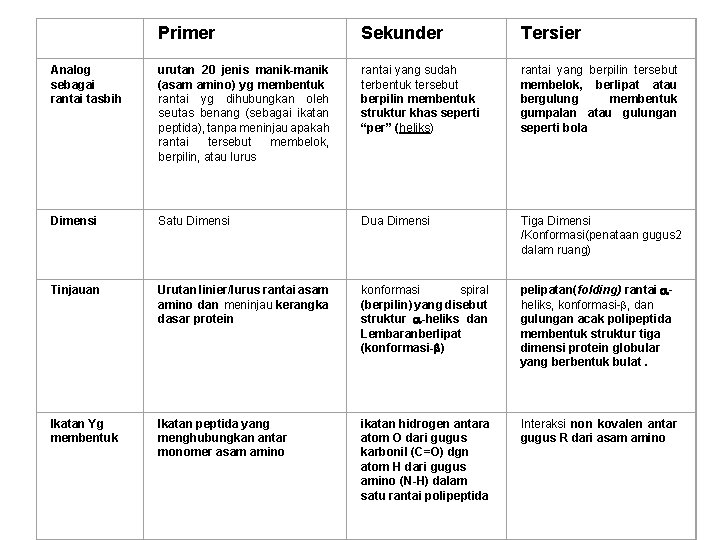 Primer Sekunder Tersier Analog sebagai rantai tasbih urutan 20 jenis manik-manik (asam amino) yg