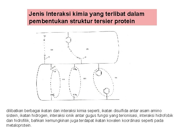 Jenis Interaksi kimia yang terlibat dalam pembentukan struktur tersier protein dilibatkan berbagai ikatan dan