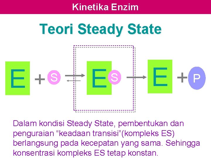 Kinetika Enzim Teori Steady State E + S E +P Dalam kondisi Steady State,