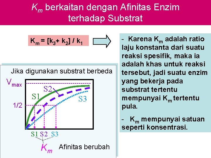 Km berkaitan dengan Afinitas Enzim terhadap Substrat Km = [k 3+ k 2] /