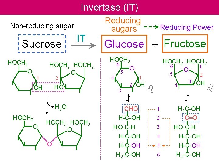 Invertase (IT) Non-reducing sugar Sucrose HOCH 2 O 1 IT HOCH 2 O 2