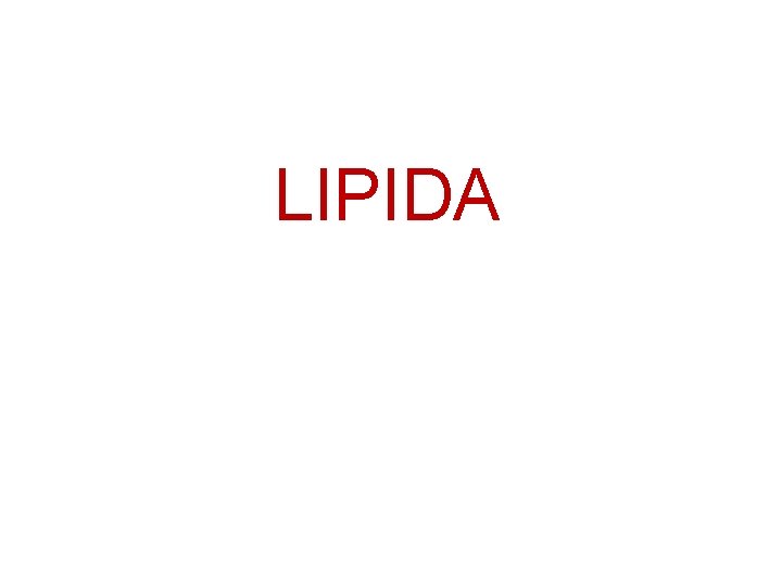 LIPIDA 
