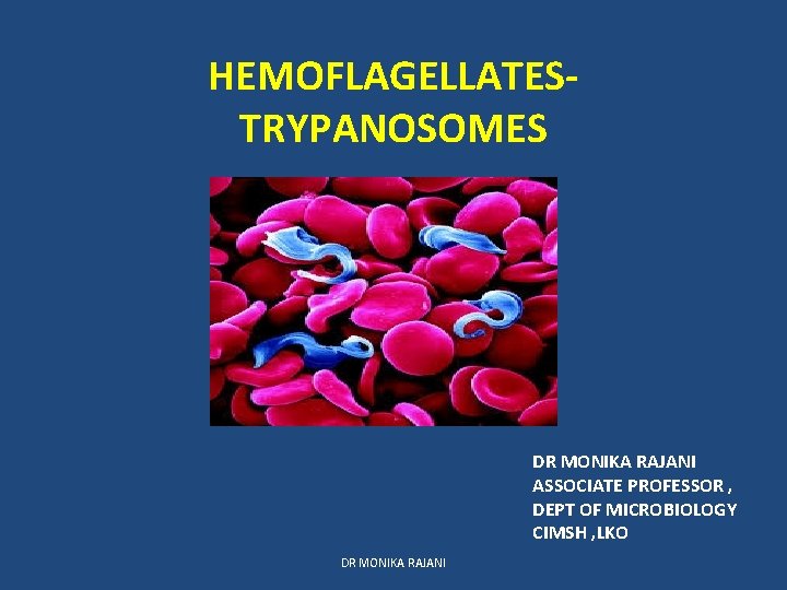 HEMOFLAGELLATESTRYPANOSOMES DR MONIKA RAJANI ASSOCIATE PROFESSOR DEPT OF