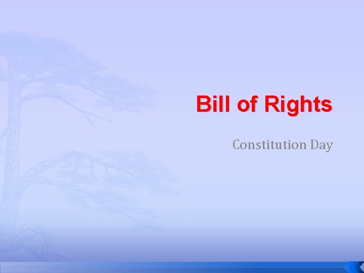 Bill of Rights Constitution Day 