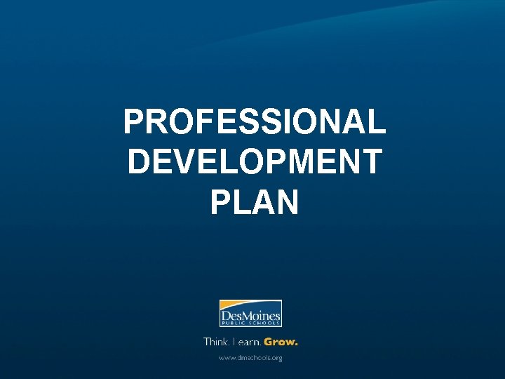 PROFESSIONAL DEVELOPMENT PLAN 