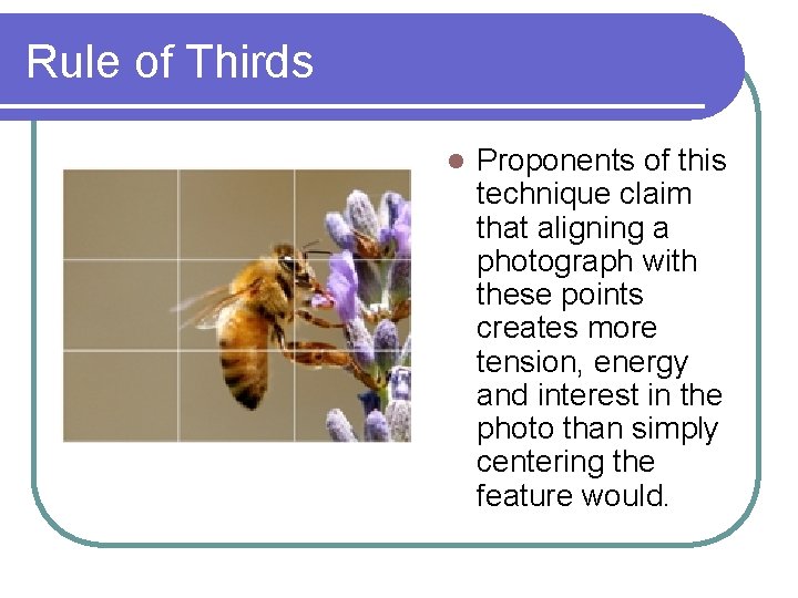 Rule of Thirds l Proponents of this technique claim that aligning a photograph with