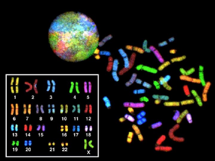 GENETIC DISORDERS 