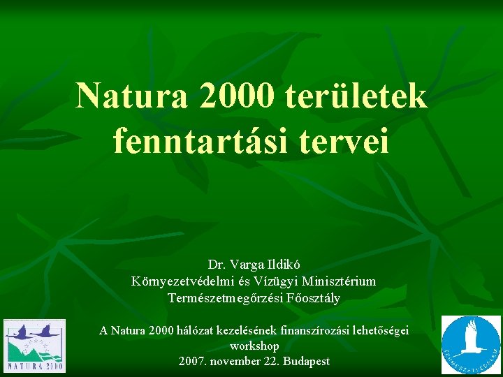 Natura 2000 területek fenntartási tervei Dr. Varga Ildikó Környezetvédelmi és Vízügyi Minisztérium Természetmegőrzési Főosztály