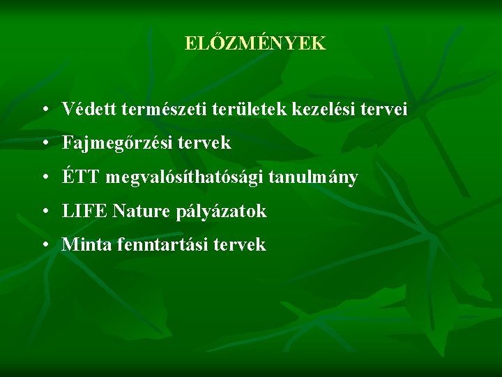 ELŐZMÉNYEK • Védett természeti területek kezelési tervei • Fajmegőrzési tervek • ÉTT megvalósíthatósági tanulmány