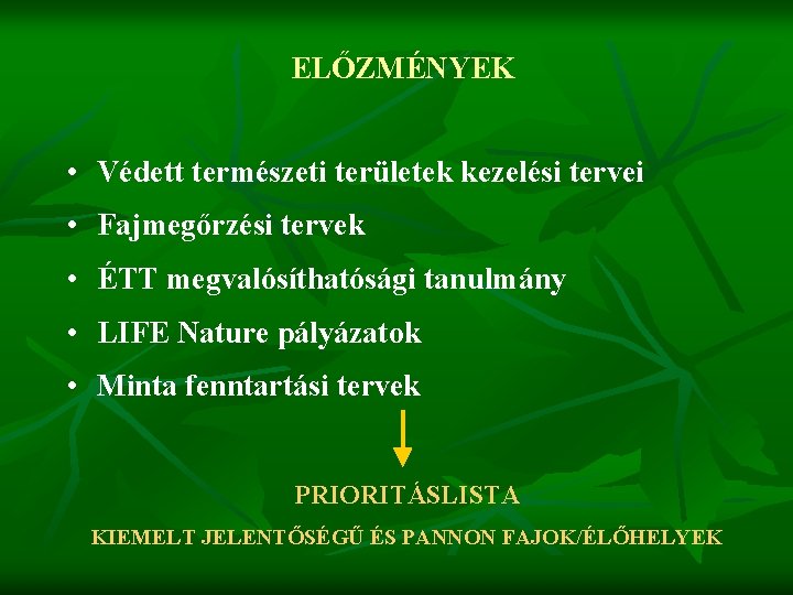 ELŐZMÉNYEK • Védett természeti területek kezelési tervei • Fajmegőrzési tervek • ÉTT megvalósíthatósági tanulmány