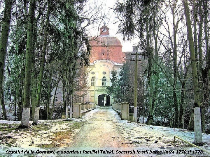 Castelul de la Gornesti, a apartinut familiei Teleki. Construit in stil baroc, intre 1770