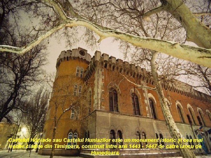 Castelul Huniade sau Castelul Huniazilor este un monument istoric și cea mai veche clădire