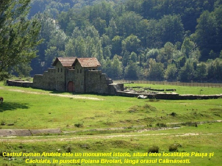 Castrul roman Arutela este un monument istoric, situat între localitățile Păușa și Căciulata, în