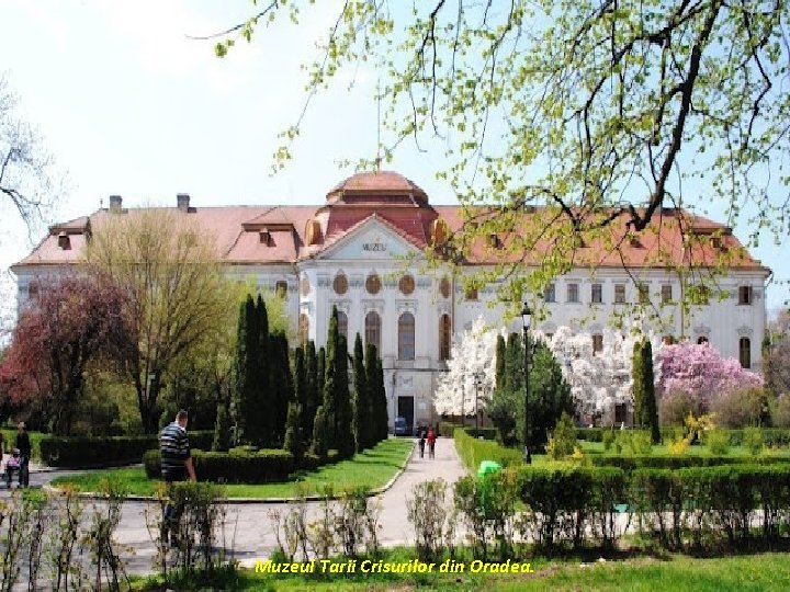 Muzeul Tarii Crisurilor din Oradea. 