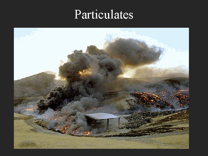 Particulates 