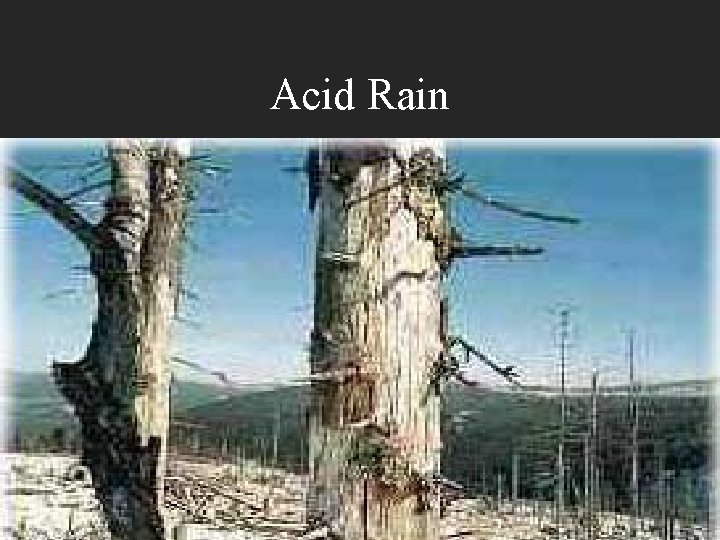 Acid Rain 