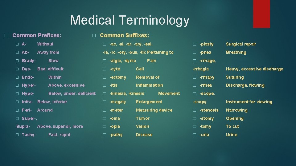 Medical Terminology � Common Prefixes: � Common Suffixes: � A- Without � -ac, -al, Medical Terminology � Common Prefixes: � Common Suffixes: � A- Without � -ac, -al,