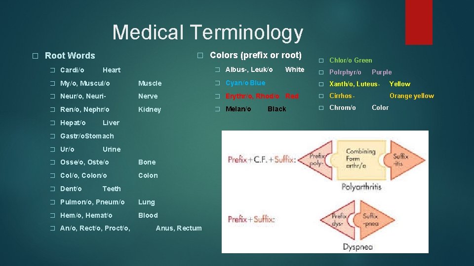 Medical Terminology � Root Words � Cardi/o � Colors (prefix or root) � Albus-, Medical Terminology � Root Words � Cardi/o � Colors (prefix or root) � Albus-,