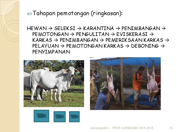  Tahapan pemotongan (ringkasan): HEWAN SELEKSI KARANTINA PENIMBANGAN PEMOTONGAN PENGULITAN EVISKERASI KARKAS PENIMBANGAN PEMERIKSAAN
