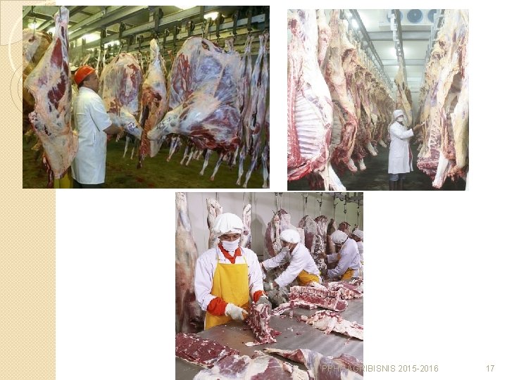 dwi pangesti s PPHP AGRIBISNIS 2015 -2016 17 