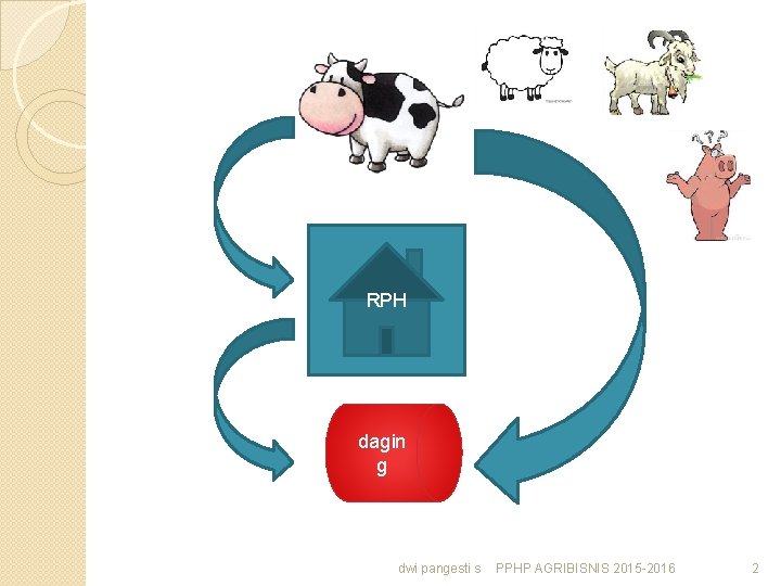 RPH dagin g dwi pangesti s PPHP AGRIBISNIS 2015 -2016 2 