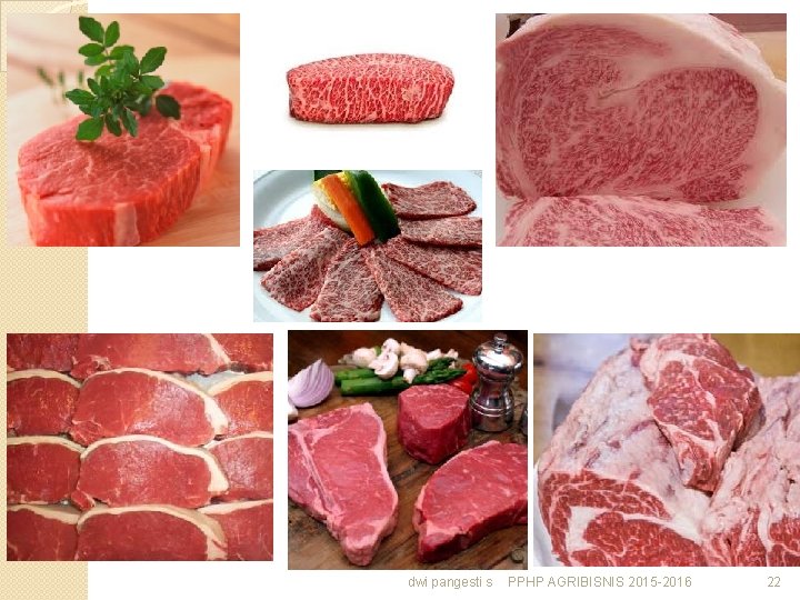 dwi pangesti s PPHP AGRIBISNIS 2015 -2016 22 