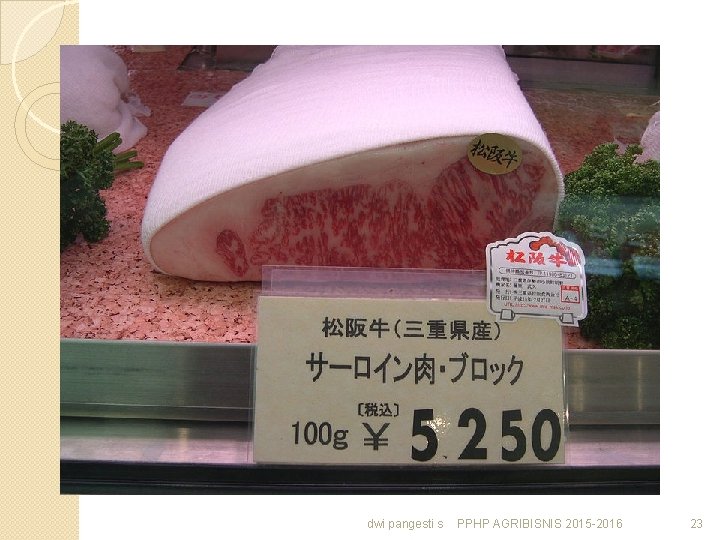 dwi pangesti s PPHP AGRIBISNIS 2015 -2016 23 