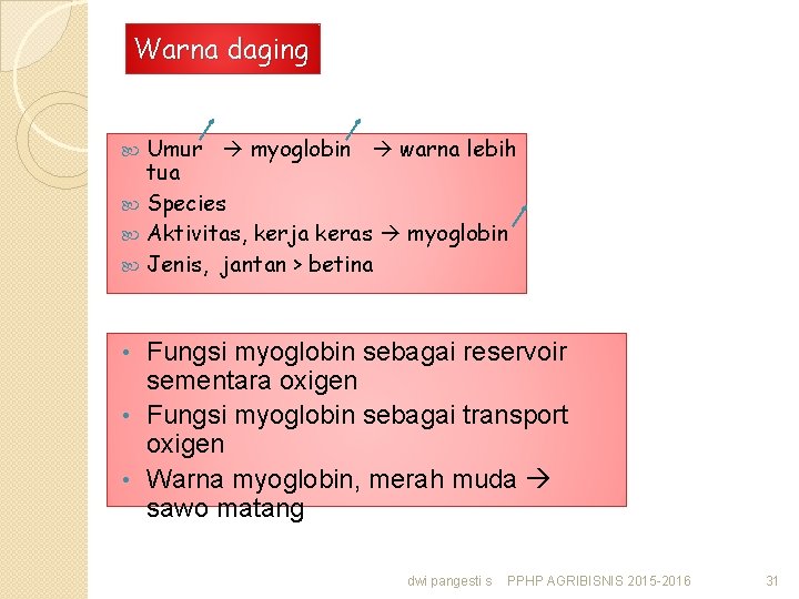 Warna daging Umur myoglobin warna lebih tua Species Aktivitas, kerja keras myoglobin Jenis, jantan