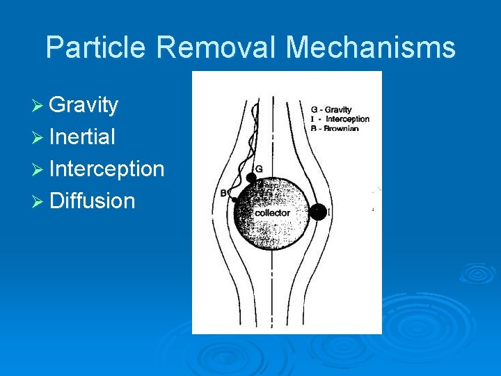 Particle Removal Mechanisms Ø Gravity Ø Inertial Ø Interception Ø Diffusion 
