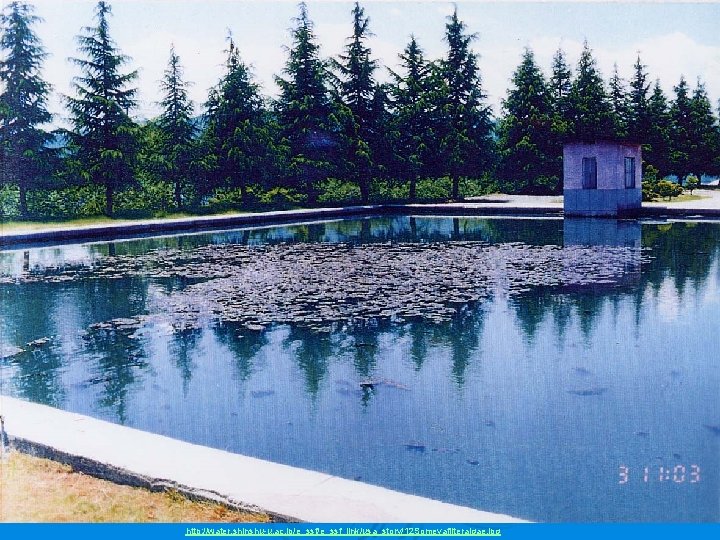 http: //water. shinshu-u. ac. jp/e_ssf_link/usa_story/12 Someyafilteralgae. jpg 