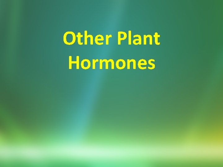 Other Plant Hormones 