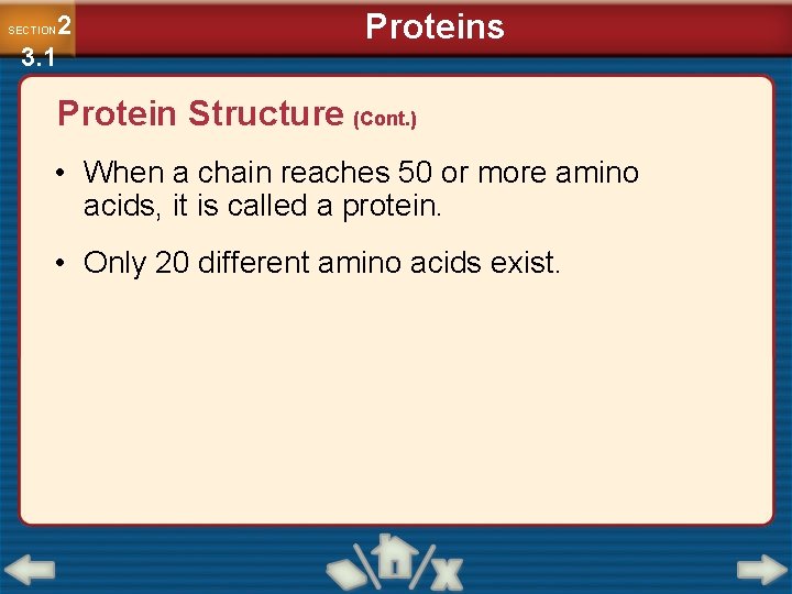 2 3. 1 SECTION Proteins Protein Structure (Cont. ) • When a chain reaches
