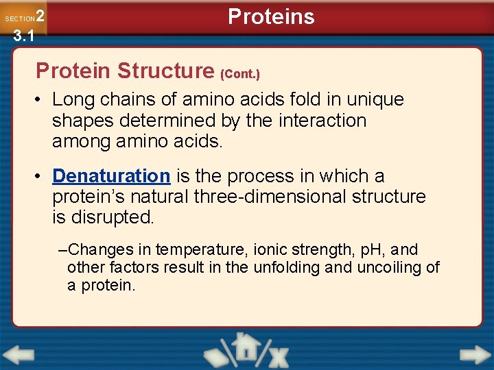 2 3. 1 SECTION Proteins Protein Structure (Cont. ) • Long chains of amino