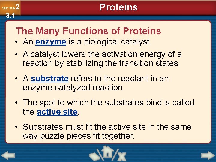 2 3. 1 SECTION Proteins The Many Functions of Proteins • An enzyme is