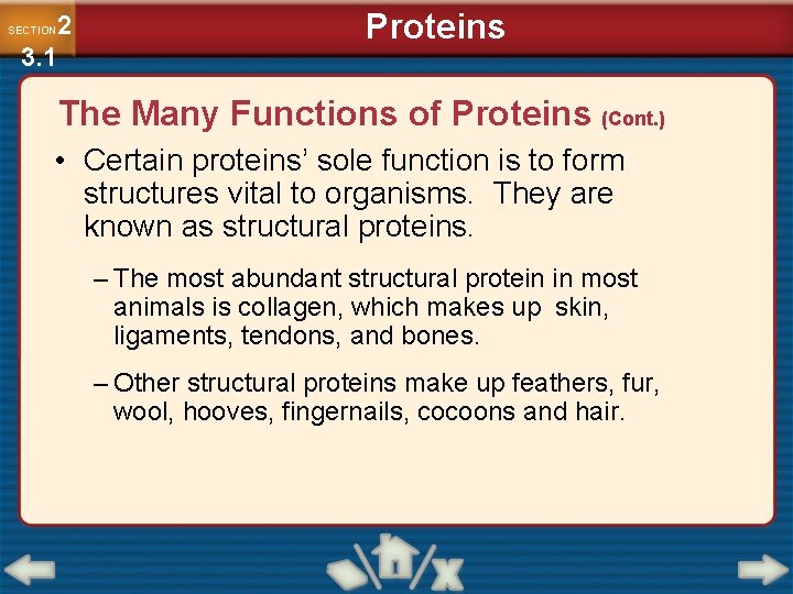 2 3. 1 SECTION Proteins The Many Functions of Proteins (Cont. ) • Certain