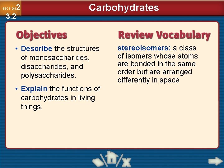 2 3. 2 SECTION Carbohydrates • Describe the structures of monosaccharides, disaccharides, and polysaccharides.