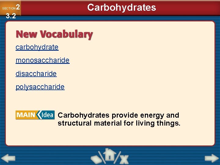 Carbohydrates 2 3. 2 SECTION carbohydrate monosaccharide disaccharide polysaccharide Carbohydrates provide energy and structural