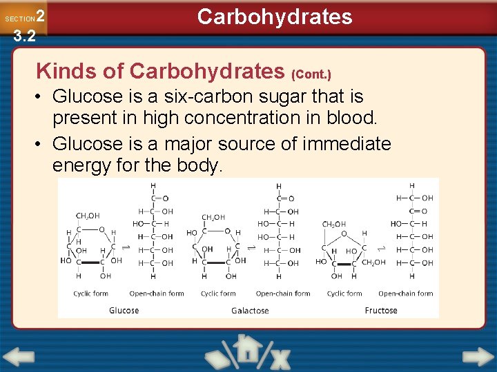 2 3. 2 SECTION Carbohydrates Kinds of Carbohydrates (Cont. ) • Glucose is a