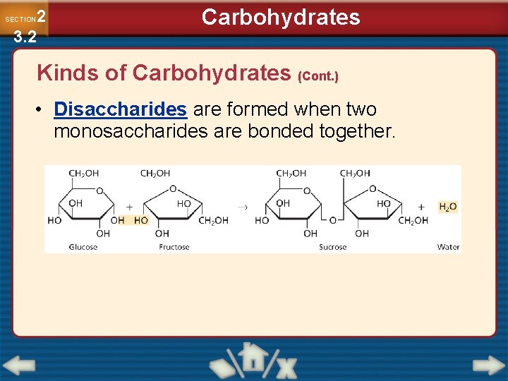 2 3. 2 SECTION Carbohydrates Kinds of Carbohydrates (Cont. ) • Disaccharides are formed