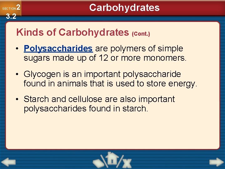 2 3. 2 SECTION Carbohydrates Kinds of Carbohydrates (Cont. ) • Polysaccharides are polymers