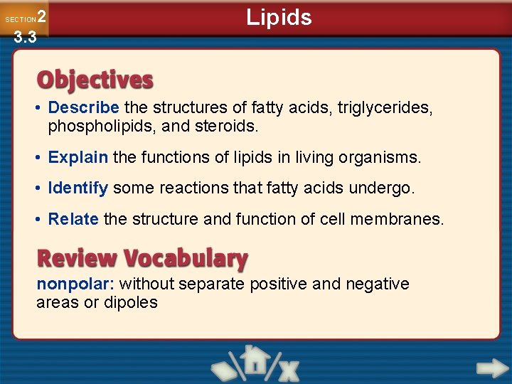 2 3. 3 SECTION Lipids • Describe the structures of fatty acids, triglycerides, phospholipids,